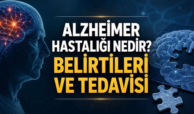 Alzheimer Hastalığı Nedir? Belirtileri, Evreleri ve Tedavi Seçenekleri
