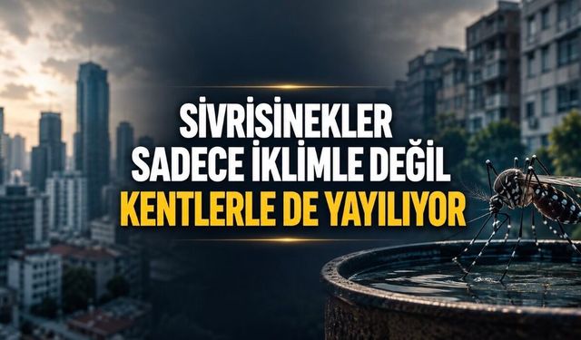 Sivrisinek Kaynaklı Salgınlara Karşı Yeni Ders: Kent Yapısı Önemli