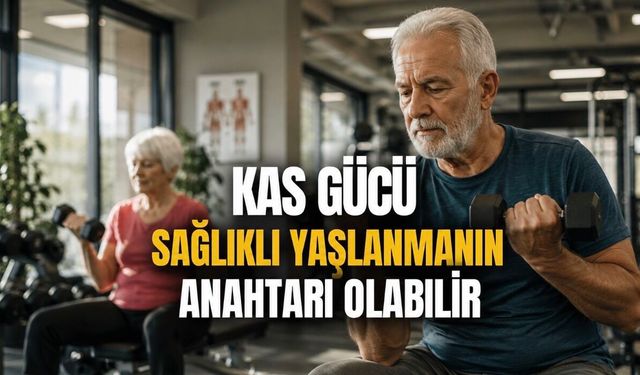 Kas Gücü Sağlıklı Yaşlanmanın Anahtarı Olabilir: Bilim İnsanları Kuvvet Antrenmanının 8 Faydasını Sıraladı