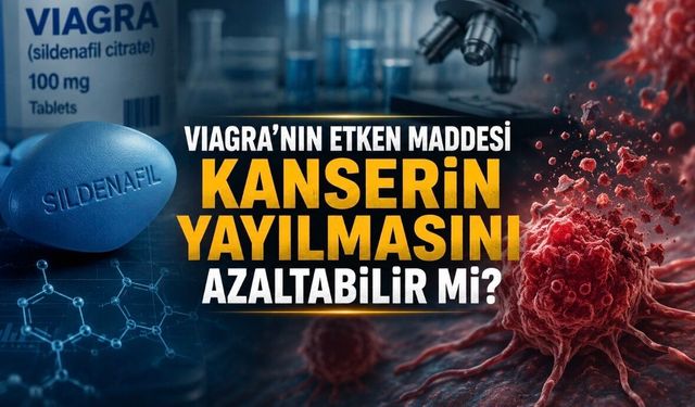Viagra’nın Etken Maddesi Kanserin Yayılmasını Yavaşlatabilir mi? Yeni Araştırmadan Dikkat Çeken Bulgular