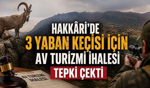 Hakkâri’de 3 Yaban Keçisi İçin Av Turizmi İhalesi Açıldı: Karar Tepki Topladı