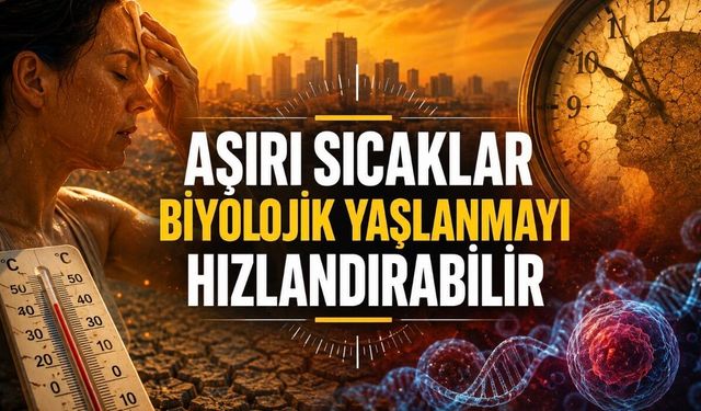 Araştırma: Uzun Süreli Sıcak Hava Biyolojik Yaşlanmayı Hızlandırabilir