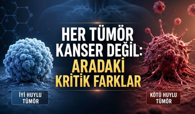 Tümör, Kist ve Kanser Aynı Şey Değil: Aralarındaki Farklar