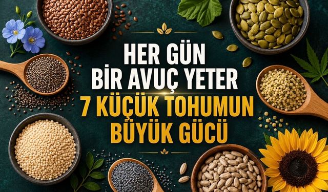 Besin Değeri Şaşırtıyor: Günlük Beslenmeye Eklenebilecek 7 Tohum