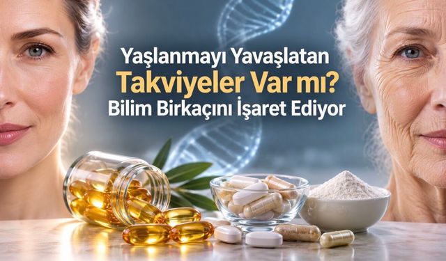 Her Takviye Değil: Bilim Yaşlanma İçin Birkaçını Öne Çıkarıyor