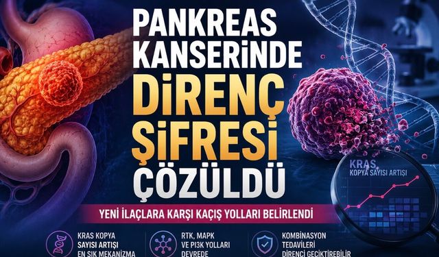 Pankreas Kanserinde Kritik Keşif: Yeni İlaçlara Direncin Yolu Bulundu