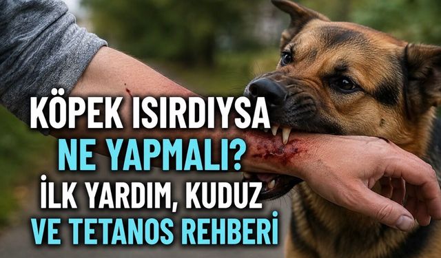 Köpek Isırdıysa İlk Dakikalar Önemli: Yaraya Ne Yapılmalı, Ne Yapılmamalı?
