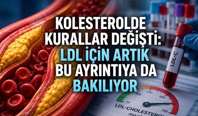 Kolesterol Tahlilinde Gözden Kaçan Değer: Hayatta Bir Kez Ölçülmesi Öneriliyor