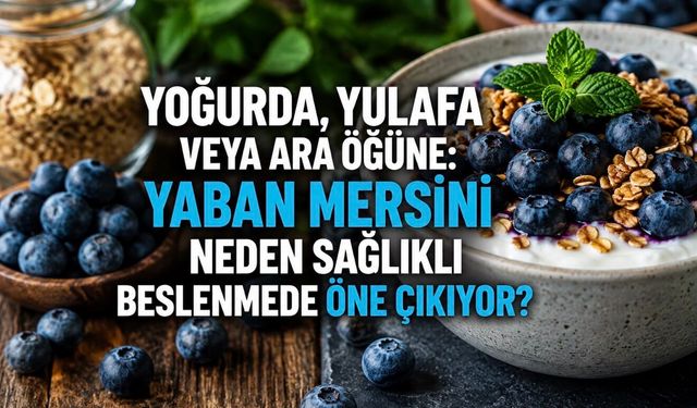 Yoğurda, Yulafa veya Ara Öğüne: Yaban Mersinini Bu Kadar Değerli Yapan Ne?