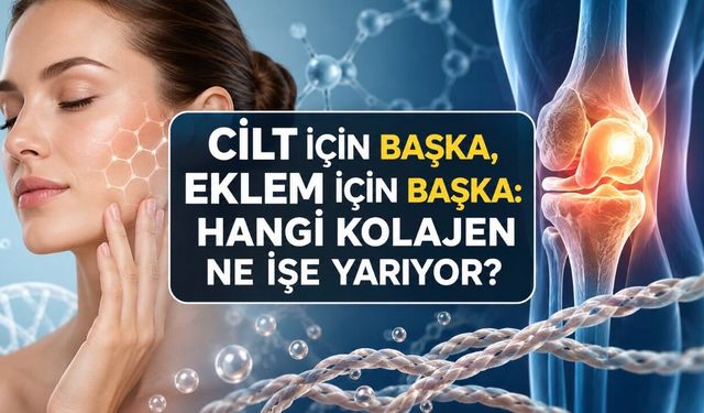 Kolajen Takviyeleri Gerçekten İşe Yarıyor mu? Balık mı, Sığır mı Daha İyi?