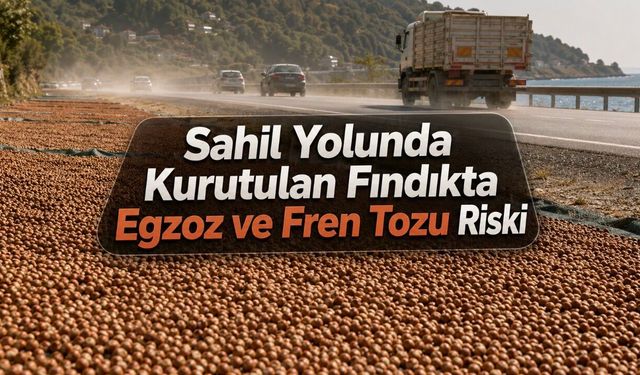 Karadeniz Sahil Yolunda Kurutulan Fındıkta Egzoz ve Fren Tozu Riski