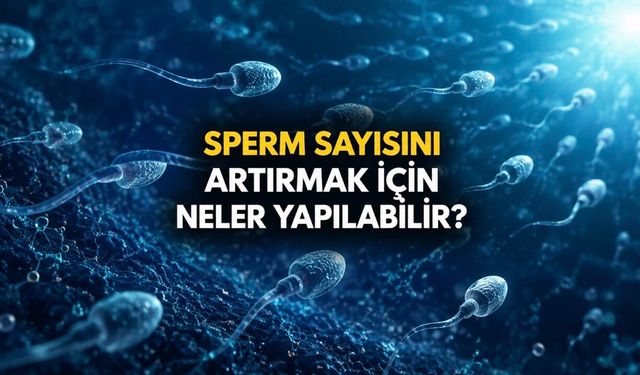 Sperm Sayısı ve Kalitesini Destekleyen 8 Günlük Alışkanlık
