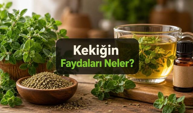 Kekiğin Faydaları Neler? Sofradaki Baharat ile Kekik Yağı Aynı Değil