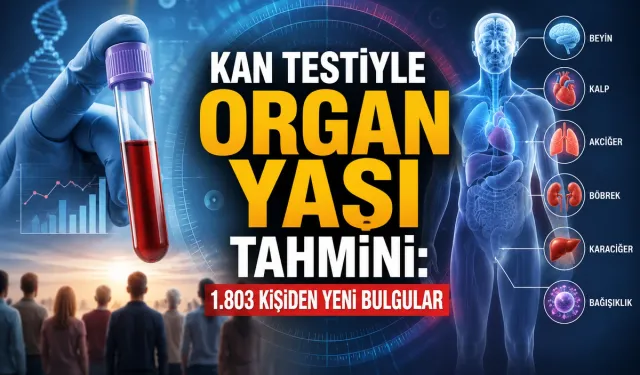 Kan Testiyle Organ Yaşı Tahmini: 1.803 Kişiden Yeni Bulgular
