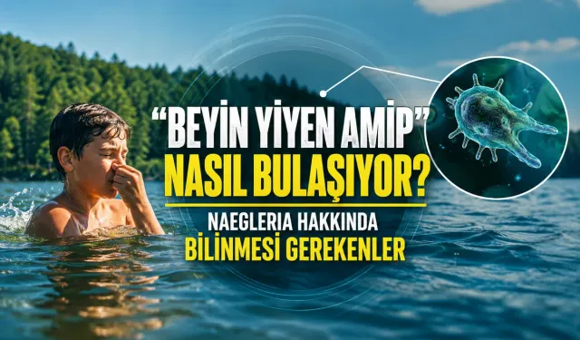 “Beyin Yiyen Amip” Nasıl Bulaşıyor? Naegleria Hakkında Bilinmesi Gerekenler
