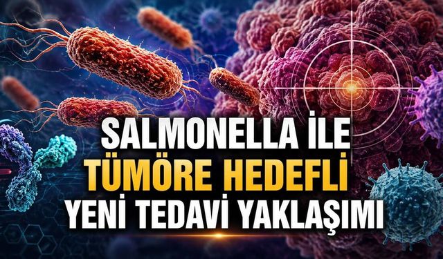 Salmonella ile Tümöre Hedefli Yeni Tedavi Yaklaşımı