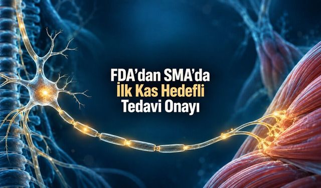 FDA SMA’da Kası Doğrudan Hedefleyen İlk Tedaviyi Onayladı