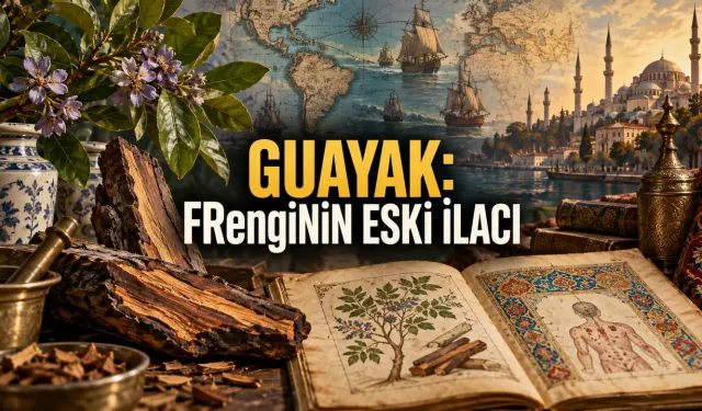 Amerika’dan Osmanlı Tıp Dünyasına Gelen “Mübarek Ağaç”: Frenginin Eski İlacı