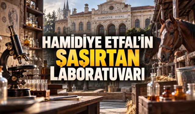 Bir Çocuk Hastanesinde Serum Üretmek İçin Bursa’dan At Getirdiler