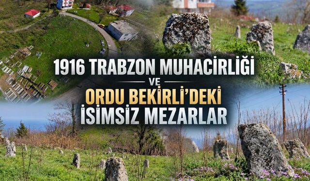 İsimsiz Taşların Altındaki Büyük Göç: Ordu’daki Kimsesiz Trabzonlular Mezarlığı