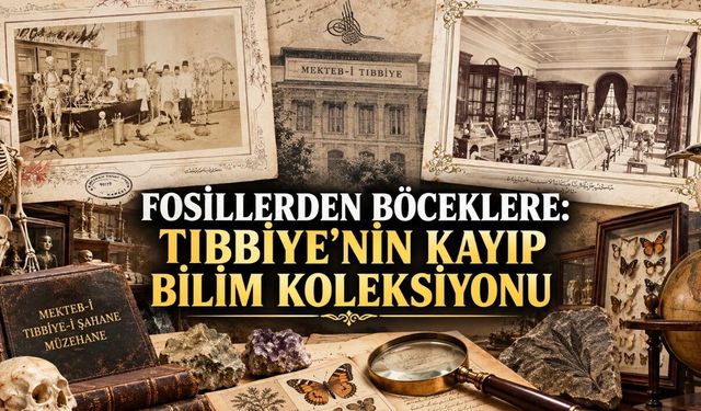 Mekteb-i Tıbbiye-i Şahane’nin Kayıp Bilim Hazinesi: 11 Bin 821 Örneklik Koleksiyonun İzinde