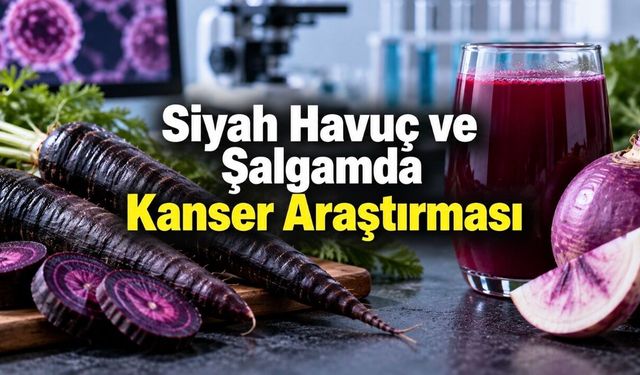 Şalgam Suyu ve Siyah Havuç Kanser Hücrelerini Azaltır mı? Araştırmalar Ne Gösteriyor?