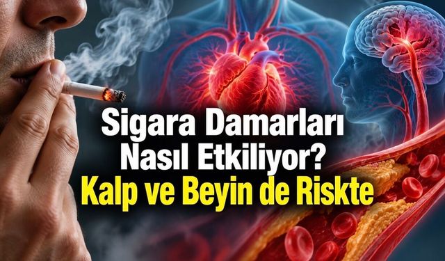 Sigara Kalp Krizi ve Felç Riskini Nasıl Artırıyor? Az İçmek de Güvenli Değil