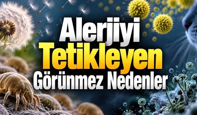 Alerjiyi Ne Tetikler? Evde ve Dışarıda Karşılaştığımız 10 Yaygın Neden