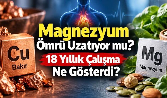 Kandaki yüksek bakır ve düşük magnezyum ölüm riskiyle ilişkili bulundu: 18 yıllık çalışma ne gösterdi?
