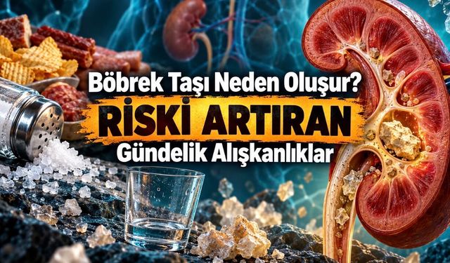 Böbrek Taşı Neden Olur? Belirtileri, Tedavisi ve Korunma Yolları