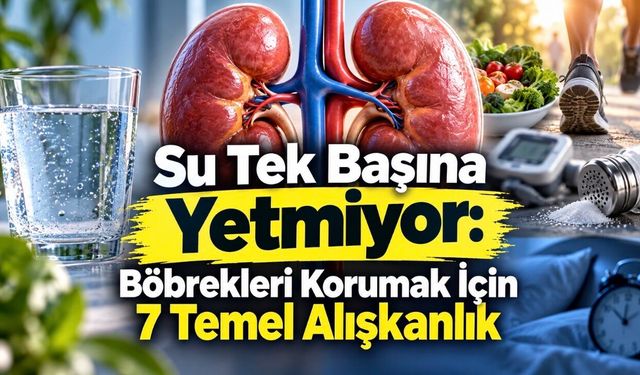 Böbrekler Nasıl Korunur? Böbrek Sağlığı İçin 7 Temel Alışkanlık