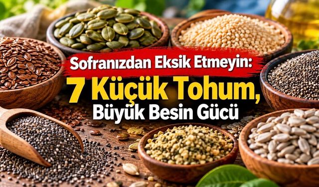 7 Sağlıklı Tohum: Hangisi Lif, Protein ve Omega-3 Açısından Öne Çıkıyor?