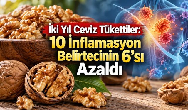 Ceviz Yaşlanmayı Yavaşlatır mı? İnflamasyon, Telomer ve Kanser Bulguları