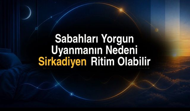 8 Saat Uyusanız da Yorgun Uyanıyorsanız Sirkadiyen Ritminiz Bozulmuş Olabilir