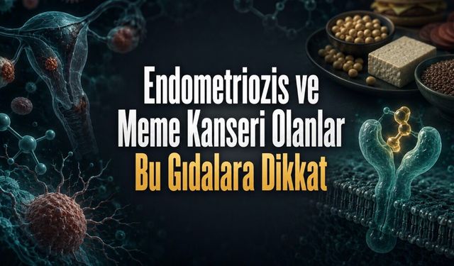 Endometriozis ve Meme Kanseri Olanlar Hangi Gıdalara Dikkat Etmeli?