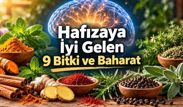 Hafızayı Destekleyen 9 Bitki ve Baharat: Hangileri Gerçekten Etkili?