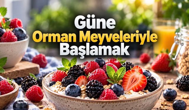 Kahvaltıda Hangi Meyve Daha İyi? Orman Meyvelerini Öne Çıkaran Özellikler