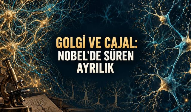 İki Bilim İnsanı Beynin Yapısını Tartıştı: Golgi ve Cajal’ın Nobel’e Uzanan Mücadelesi