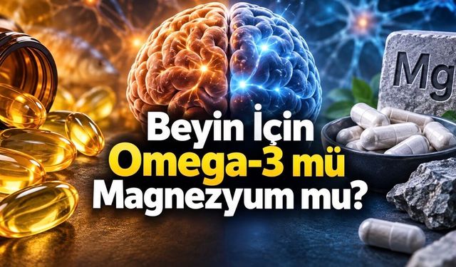Omega-3 mü Magnezyum mu? Beyin Sağlığı İçin Hangisi Daha Etkili?