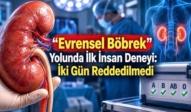 Enzimlerle A grubu böbrek O grubuna çevrildi: İnsan modelinde ilk nakil