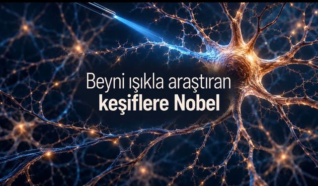 2026 Nobel Tıp Ödülü Deisseroth, Hegemann ve Nagel’e verildi