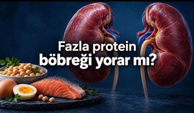 Yüksek protein böbreği yorar mı? Sağlıklı böbrekle hastalıklı böbreğin farkı