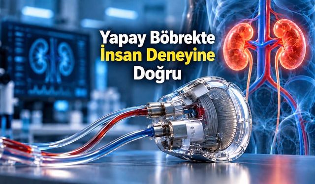 Diyalizin Sonu Olabilir mi? Yapay Böbrekte İnsan Deneyine Doğru