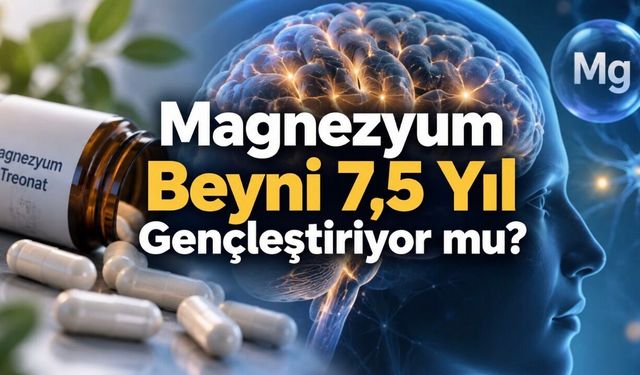 Beyin Yaşını 7,5 Yıl Gençleştiriyor mu? Magnezyum Araştırmasını Prof. Dr. Kaan Yılancıoğlu Değerlendirdi