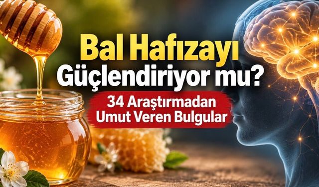 Bal Hafızayı Güçlendiriyor mu? 34 Araştırmanın Ortaya Koyduğu Bulgular