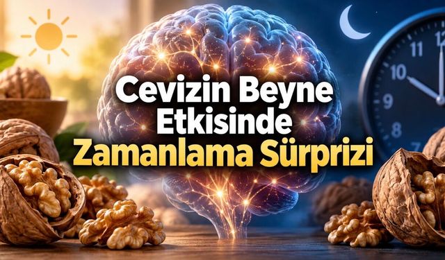 Cevizi Kahvaltıda Yemenin Beyin Üzerindeki Etkisi: 6 Saat Sonra Dikkat Çeken Sonuç