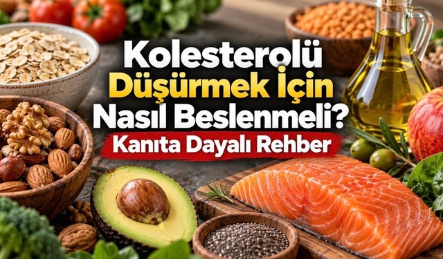 Kolesterolü Düşüren Besinler: Bazıları LDL’yi Azaltıyor, Bazıları Kalbi Koruyor