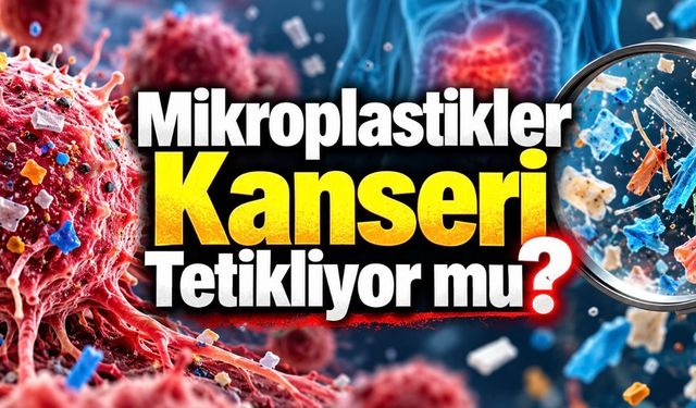 Prostat Tümörlerinde 2,5 Kat Fazla Mikroplastik Bulundu
