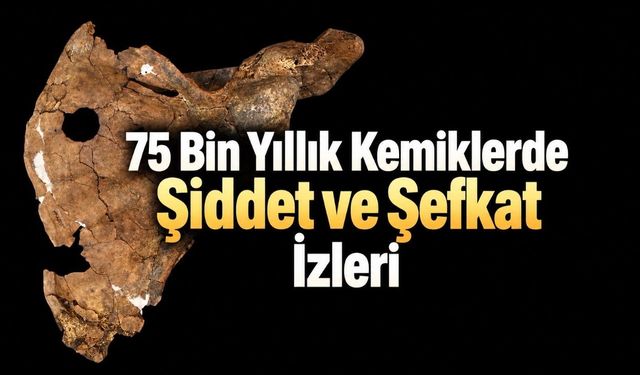 75 Bin Yıllık İskelette İki İz: Ölümcül Darbe ve Bakımın İşaretleri