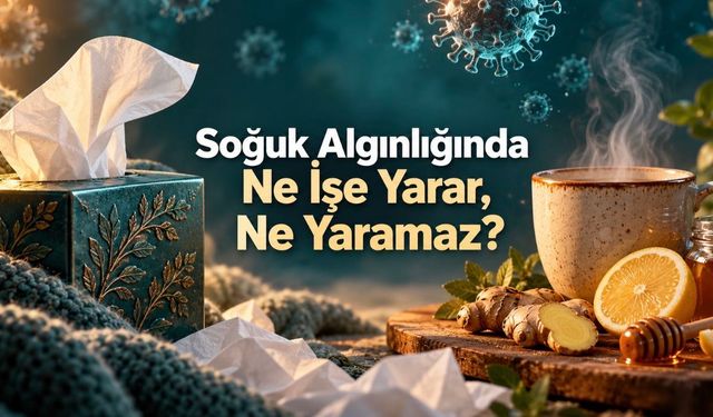 Soğuk algınlığını bir günde geçirmek mümkün mü? Rahatlamakla iyileşmek aynı değil